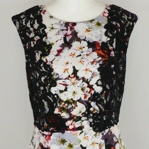 Adrianna Papell Floral Lace Cap Sleeve Sheath Dress sz 2 NWT